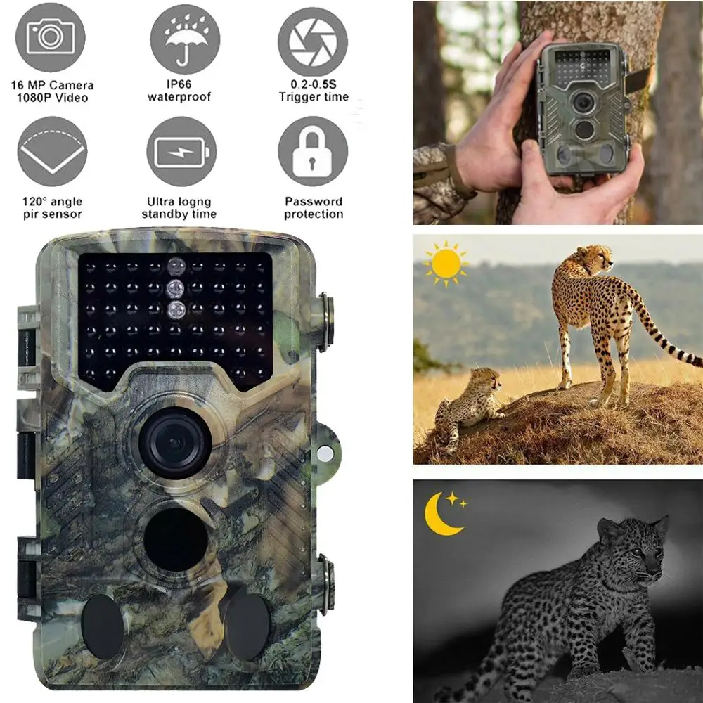 

Hunting surveillance camera