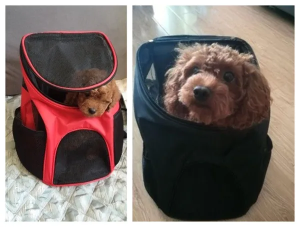 Portable and Foldable Travel Pet Carrier Backpack