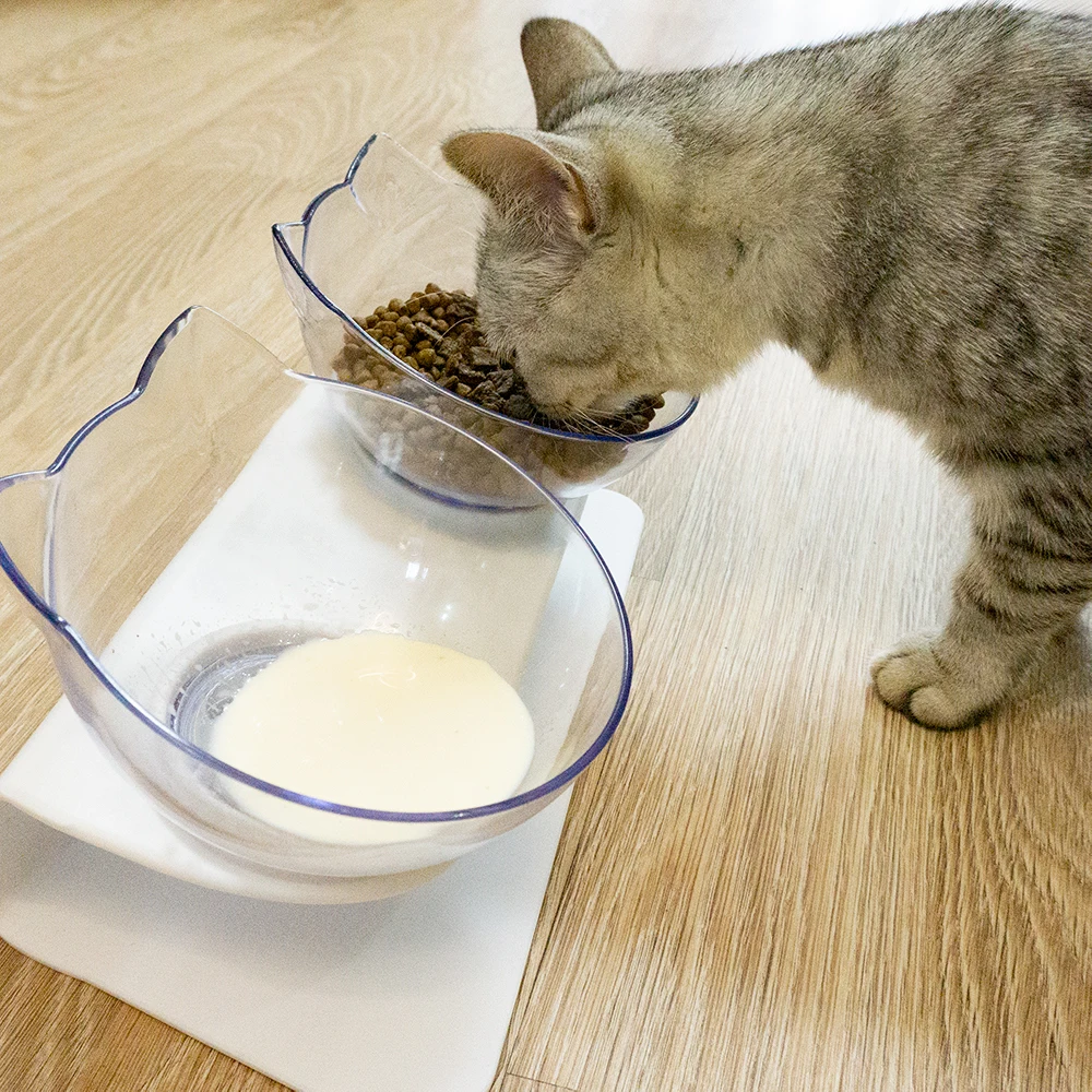 

Non-slip Double Cat Bowl Cervical Spine Protection Bowl For Cats Kitten Food Bowls For Dogs Puppies Feeder Pet Products