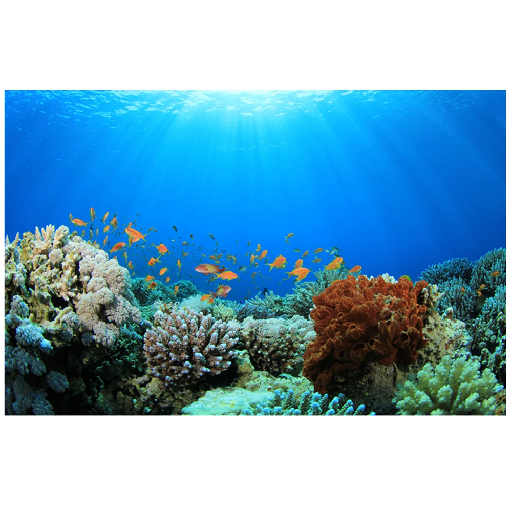 

Colorful print Wall Tapestry underwater world tapestry M198