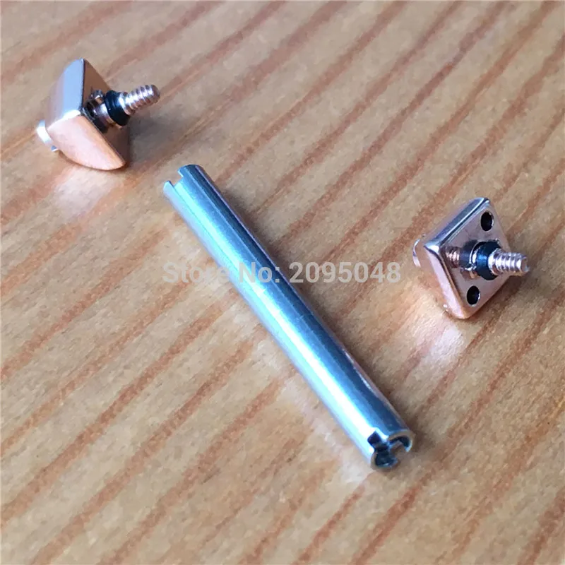 20mm rose gold color Стальной винт трубчатая штанга для Cartier Pasha W31074M7 кварцевый валик для часов Ремешок Браслет винт - Цвет: 20mm rose gold color