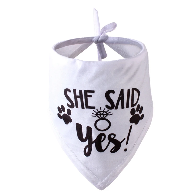 4 - 11748358367_1330256901