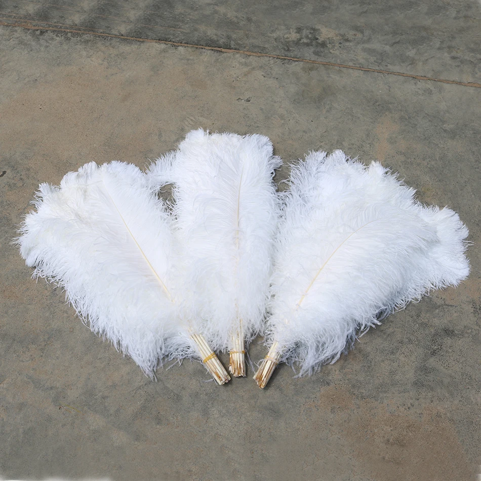 ostrich feather 2