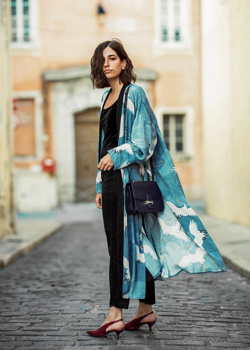 dress-kimono-inspired-robe-heron-printed-zara-new-collection-aria-di-bari-kitten-heels-silk-pants-velvet-bodysuit-french-blogger