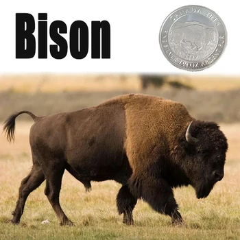 

RH Silver Plated North America Bison Commemorative Coins Collectibles For Collection Gifts Business Gifts