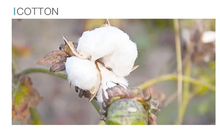 8713097919_905815813