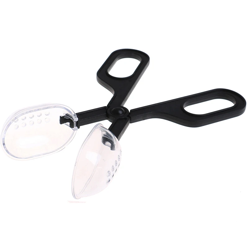 Reptile Supplies Climbing Pet Clips Feeding Reptiles Insect Breeding Worm | Дом и сад