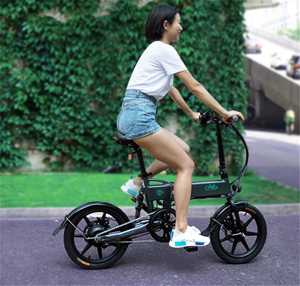 Fiido D2 Foldable Electric Scooter For Adults Two Wheel Electric Bicycle With LED Headlight 250W Smart Electric Bicycle         (4)