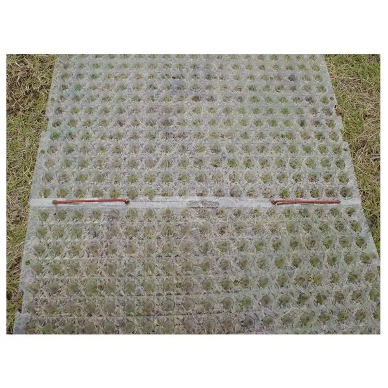 2SS201606-7