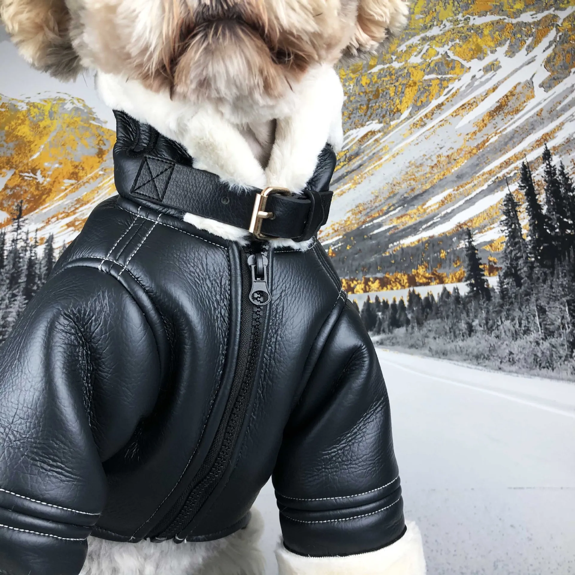 Ropa De Perro Abrigo Glorioso PU De Cuero Impermeable Al Aire Libre Puppy Outerwear Ropa De Moda Para PET S XXL MANTENER CALIENTE De 33,41 € | DHgate