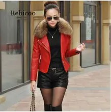  Autumn New Women Genuine Racoon Dog Fur Collar Leather Jacket Slim Stand Collar Plus Cotton Motorcycle Leather Jacket M-5XL 