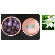 Пуля благовония конус рефлюент благовония горелка зерна в доме чай дом благовоние для пагоды