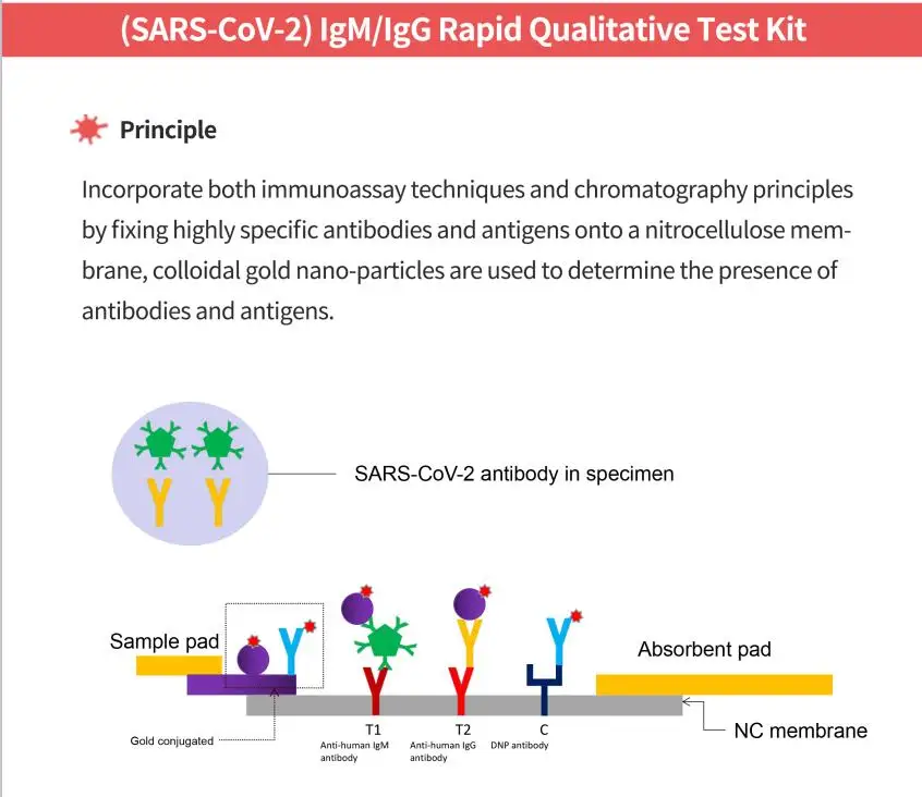 

SARS-CoV-2 IgM IgG Rapid Qualitative Testing Kit 1 box (1 box can test 25 people)