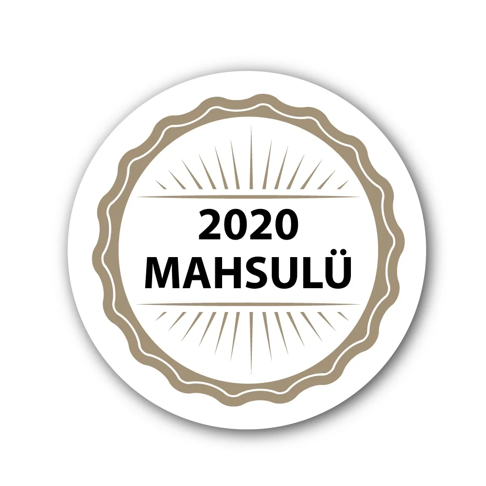 Наклейка 2020 мАч 6x6 см 12 шт.|Канцелярские наклейки| |