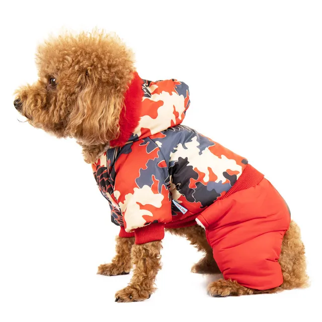Xxl dog clothes shop Clearance