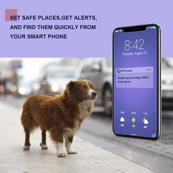 

Smart Pets GPS Tracker Real-Time Tracking for Pets GPS Tracking Device GPS Pet Real-Time Tracking Device Pet Activity _