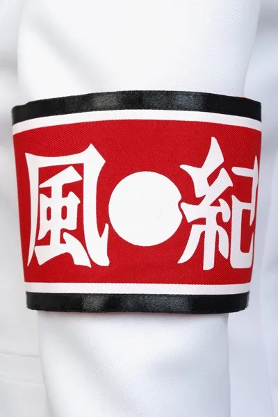 Униформа данганронпа Kiyotaka Ishimaru Danganronpa костюмы| |
