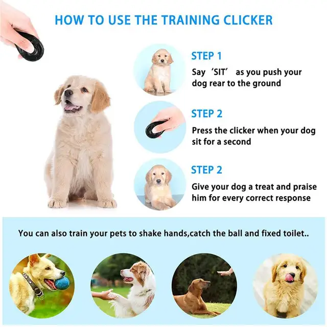 Dog Trainer Clicker Sound Key Chain 4