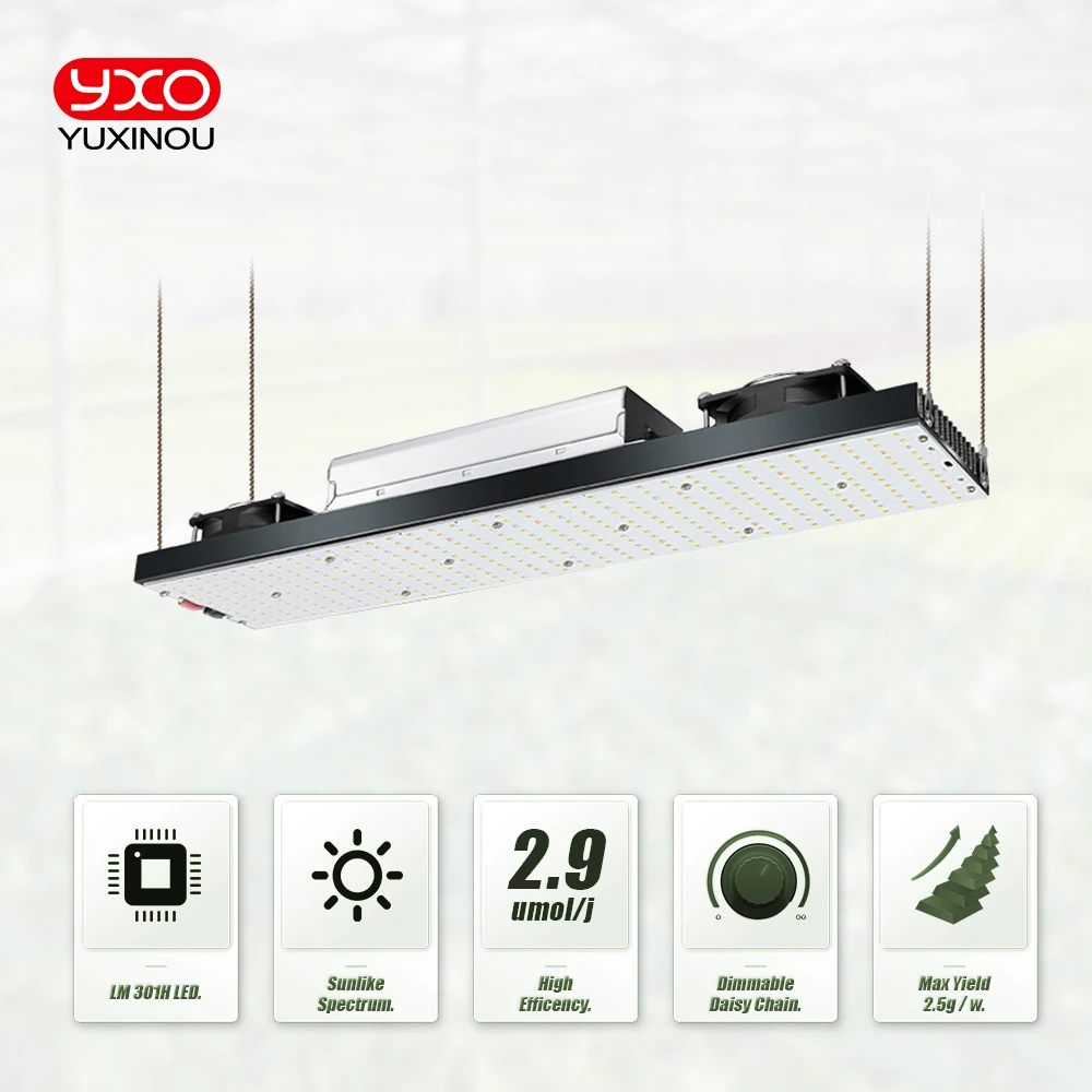 Sam-sungLM301H LED 성장 조명 V3 보드, Meanwell 드라이버 포함, 240W, 480W, 720W, 3000K, 3500K, 660nm UV IR 성장 상자, 식물 채식 꽃