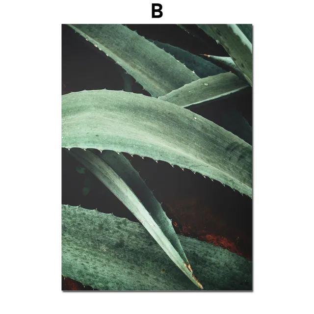 Aloe Succulents Monstera Green Plant Art Nordic Posters And Prints Wall Art Canvas Painting Wall Pictures For Living Room Decor B