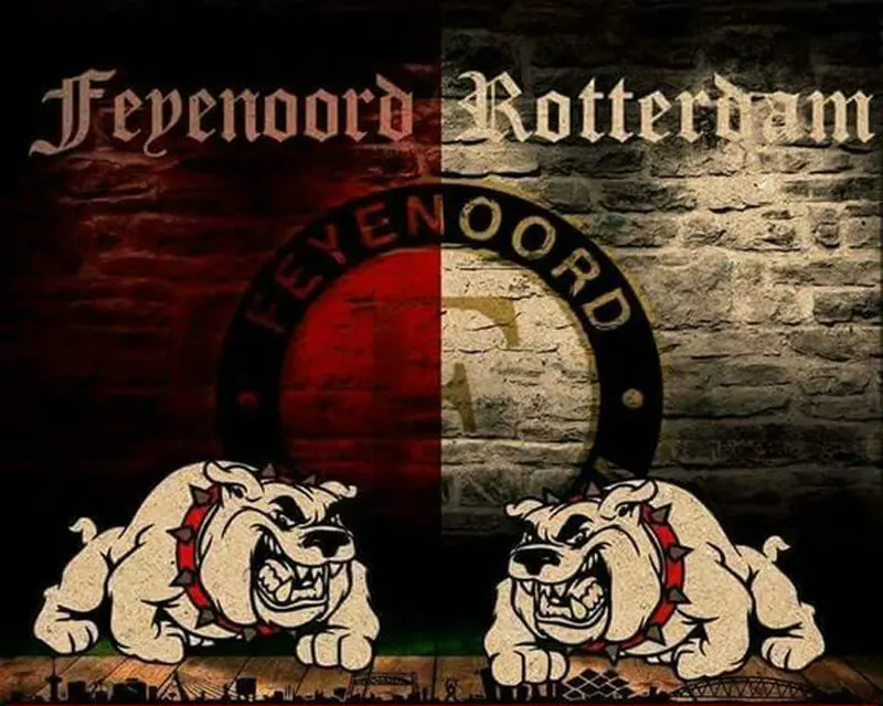 HTB1OYYNaDtYBeNjy1Xdq6xXyVXau