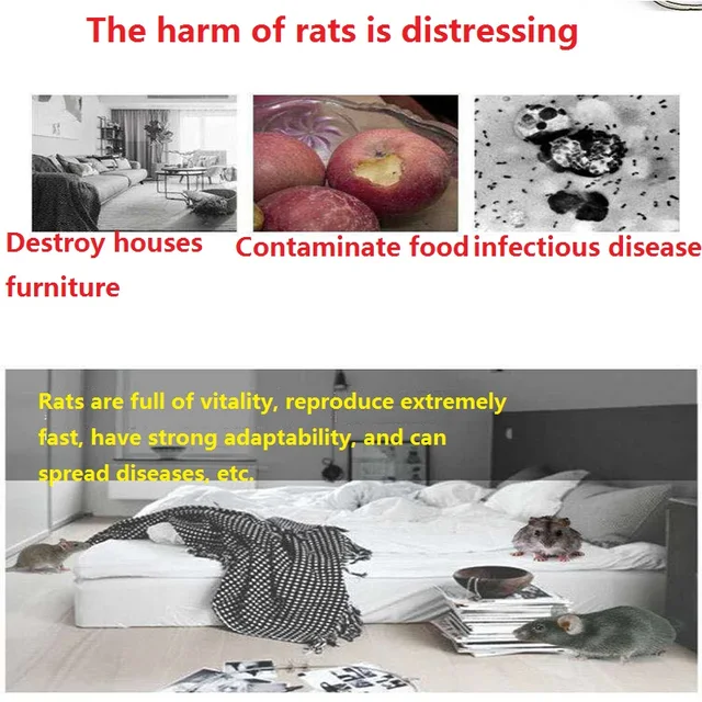 6 Csomag Egér Rágcsáló Csali Patkány Egerek Csapdájának Nagy Hatékonyságú Egerek. - Image 2