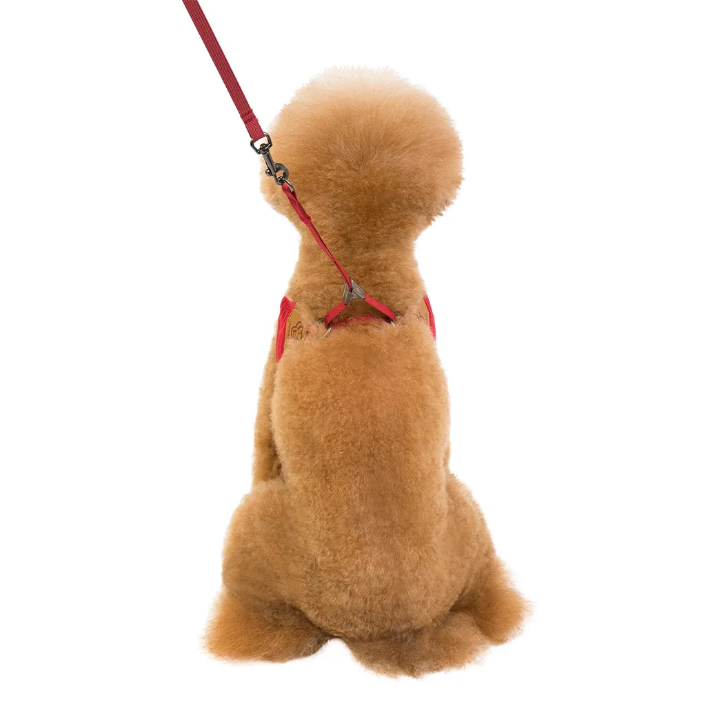 New Adjustable Pet Cat Dog Breathable Traction Fashion Comfortable Chest Strap Teddy For Dog Walking Pet Harness S-l Size