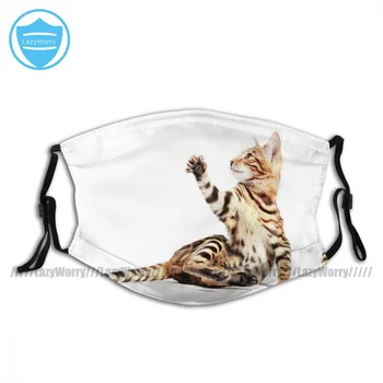 

Adults Fancy Bengal Facial Mask Sublimation Printed Cloth Face Mouth Mask With Filters
