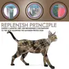 Pet Products