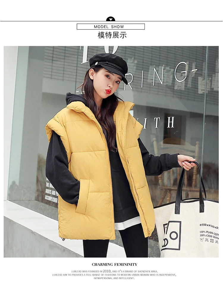 2020 Womens Korean Style Solid Sleeveless Winter Keep Warm Winter Vest Coat Single Women zipper Loose Thick Fashion Vest