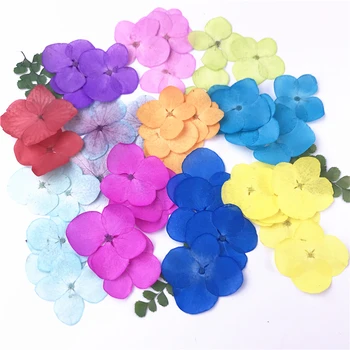 

24pcs,Nature Pressed Hydrangea Flower Petals,Real flowers for Nail Art Decoration DIY Flora Gel Manicure Stickers Craft Bookmark