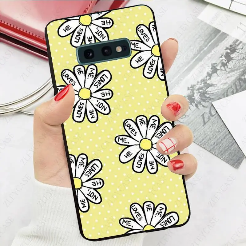 daisy flower