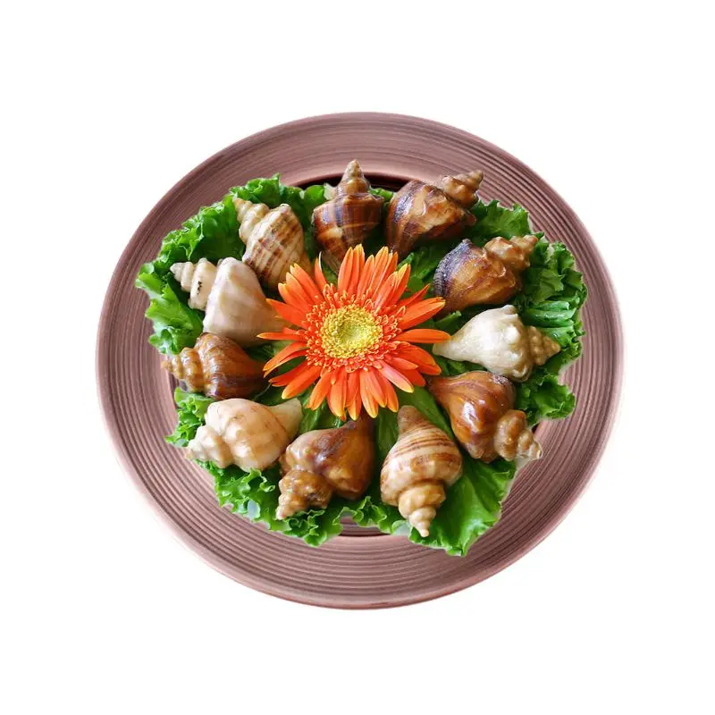 2 шт. нержавеющая сталь обеденная тарелка блюдо салат еда контейнер лоток кемпинг