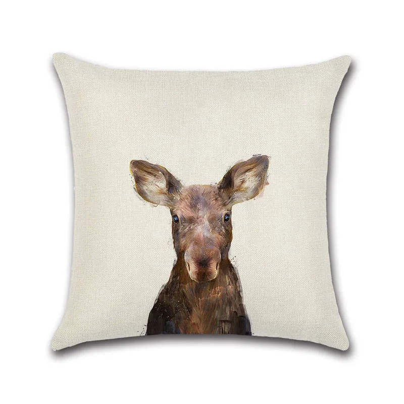 3980081712_238682448