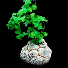 2 шт./пакет диоскорея Elephantipes растения, красивый цветок, растение бонсай для «сделай сам» для дома и сада