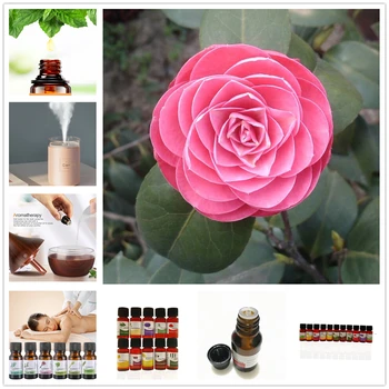 

Fragrance Aroma Humidifier Pour Diffusers Skin Care Strelizia Oil 10ml Relieve Stress Aromatherapy Essential Oil TSLM116