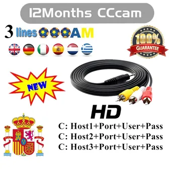 

2020 cccam in Spain supports the free test of stable HD TV movie box satellite receiver of Spanish Italian Portuguese TV channel