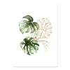 Floral C-1