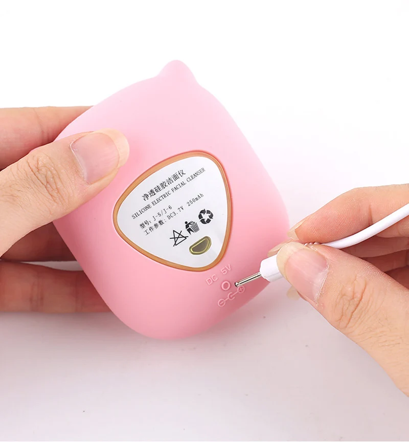 11647428518_1372986985