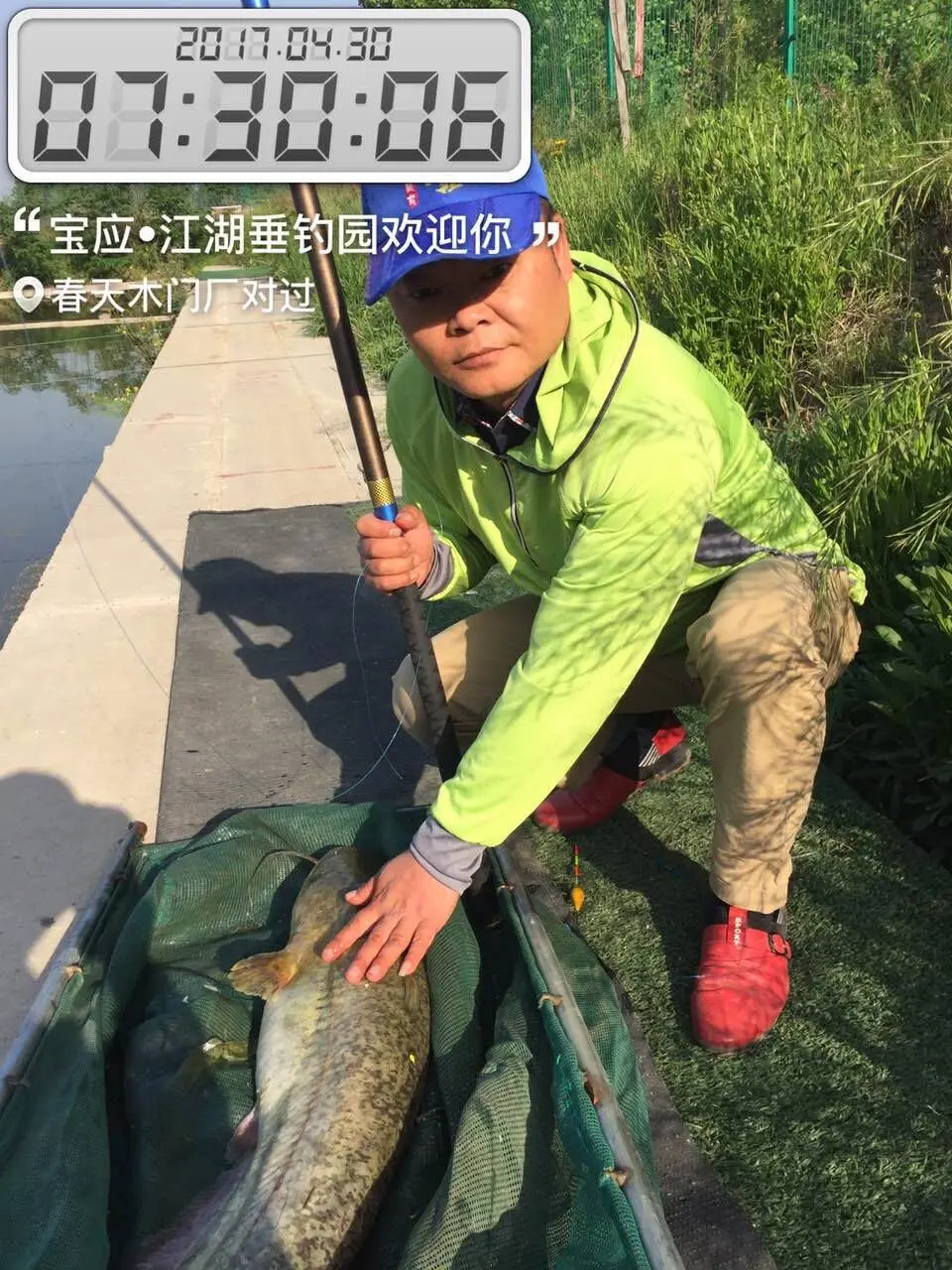 Zhong wo 520 гранулы~~ Черный Zhongwan черный Карп~~ приманка~~ черные игровые гнезда приманки~~ Черная яма маленькая