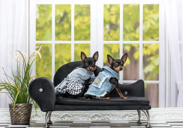 U00e910417734482fb2e3b2eb38be02861