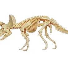 4D мастер Обучающие собранные игрушки Животное Динозавр Трицератопс орган, анатомия медицина для обучения модель