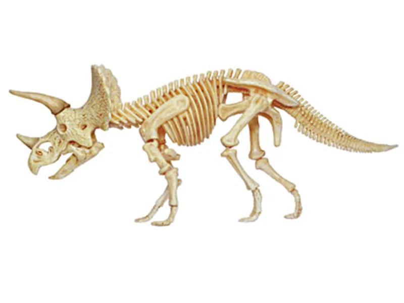 

4D MASTER Educational Assembled Toys Animal Dinosaur Triceratops Organ Anatomy Medicine for Teaching Model