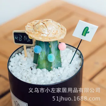 

Korean Style Cactus Plant Green Vegetation Horticulture Decorating Accessories DIY Decoration Micro Landscape Small Props