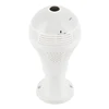 Video Surveillance