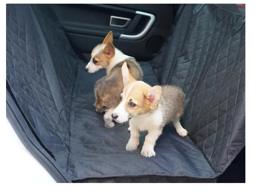 QQ截图20200916090312