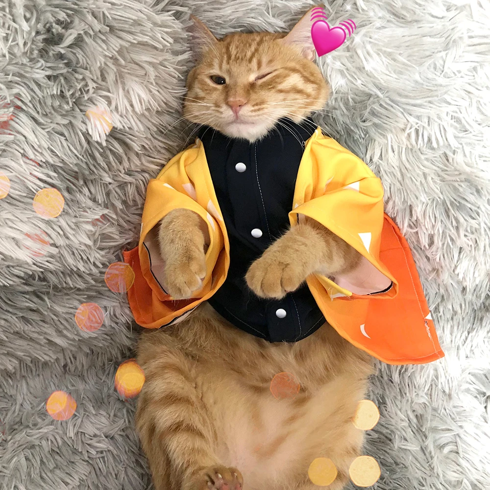 けみたさん ディズニー チシャ猫 ハム とんすけ エイリアン コスチューム ディスニーストアにイースターグッズが登場！ ウサギの