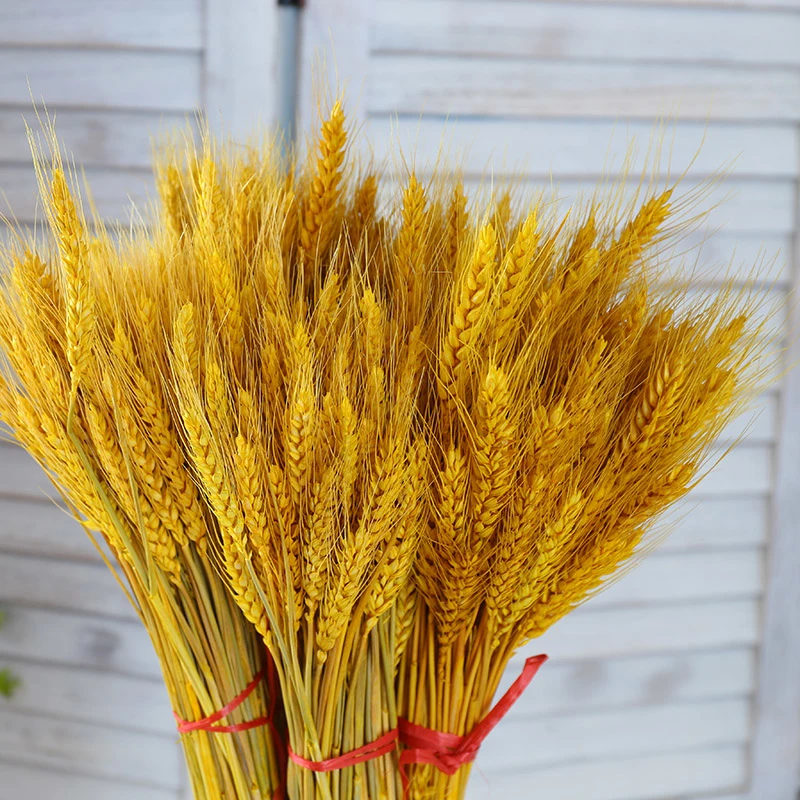 Золотая сушеная натуральная Пшеница Sheave пачка Пшеница сухая трава букет Премиум Свадебный букет центральный декоративный