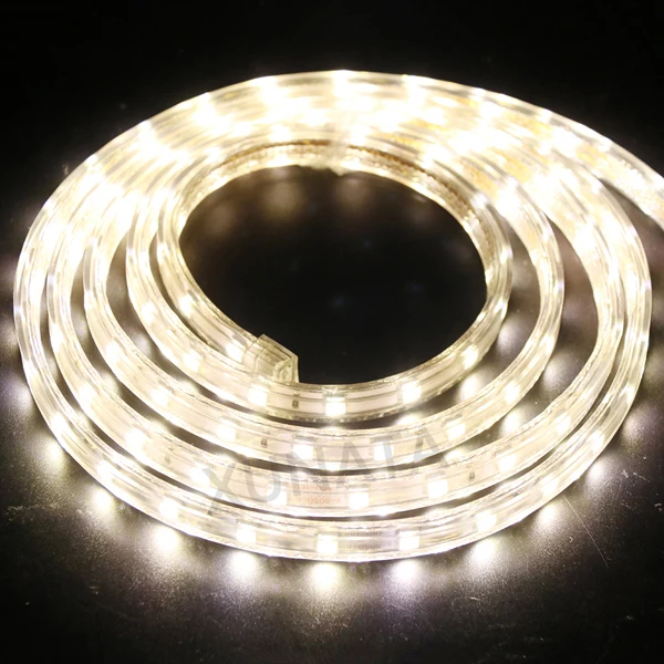 Bande LED lumineuse 100 m lumière blanche froide 5050 220 V éclairage CW578  : : Luminaires et Éclairage