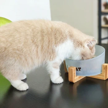 

Cat Water Food Bowl Oblique Cat Food Tray Non-Slip With Wood Base Pet Dog Food Dish Pet Supplies